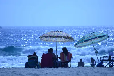 DSC_4980 (Large).JPG